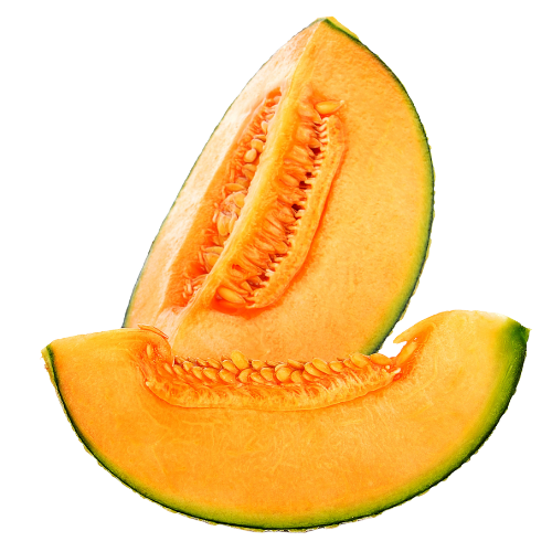 Glisodin Cantaloupe